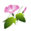 心情驿站