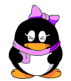 未命名2.gif