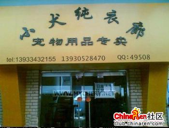 小犬纯衣廊.jpg