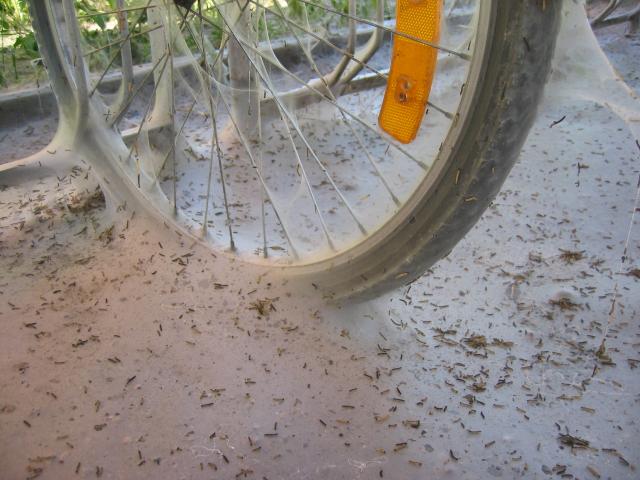 12-cykel_i_cykelstall-normal.jpg