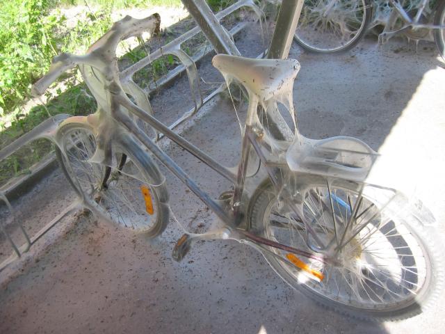 11-cykel_i_cykelstall-normal.jpg