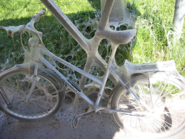 13-cykel_i_cykelstall-normal.jpg