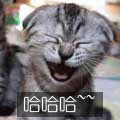 563884_n.gif