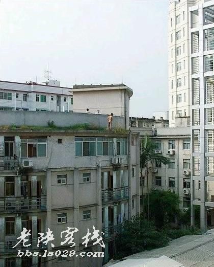 学校师生在楼下努力劝说男生回头！男生最终还是举刀自宫并且跳了下来
