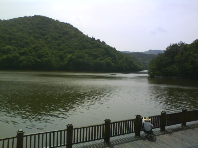 DSC00447.JPG