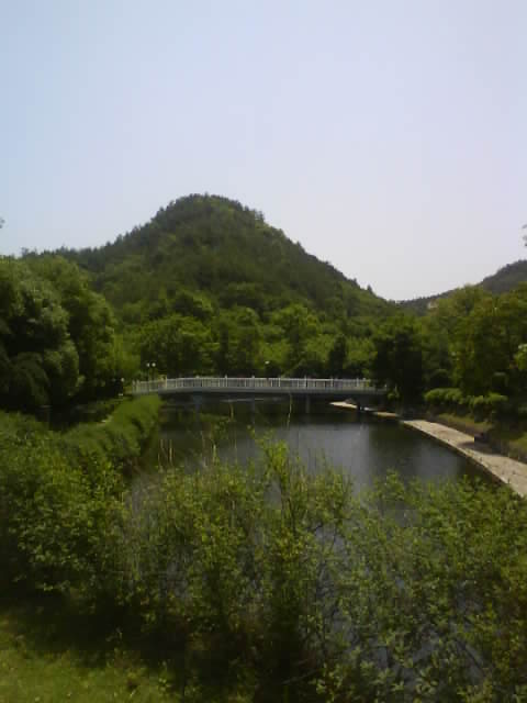 DSC00382.JPG