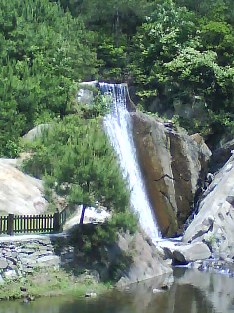 DSC00392.JPG