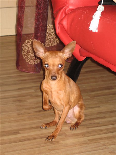 20080428_6dc66cc7bd68523368d1oyJyOze3GfUX.jpg