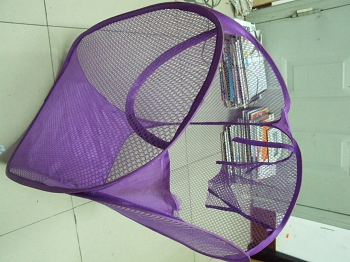 DSCF2879.JPG